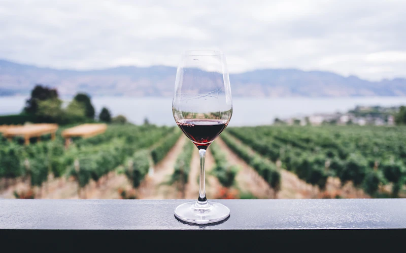 Vino